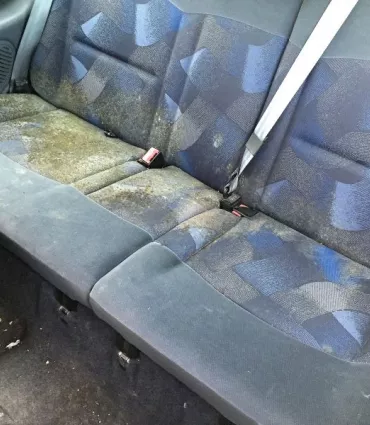 Clean Premium Intérieur Renault Clio