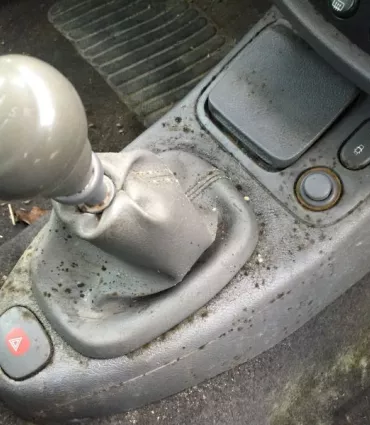 Clean Premium Intérieur Renault Clio