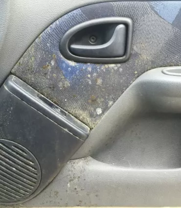 Clean Premium Intérieur Renault Clio