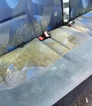 Clean Premium Intérieur Renault Clio