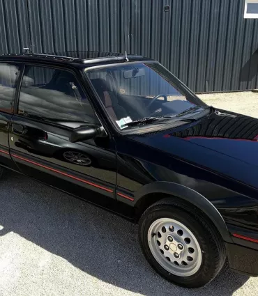 Peugeot 205 Gti