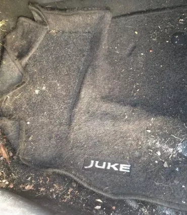 Clean Premium Nissan Juke